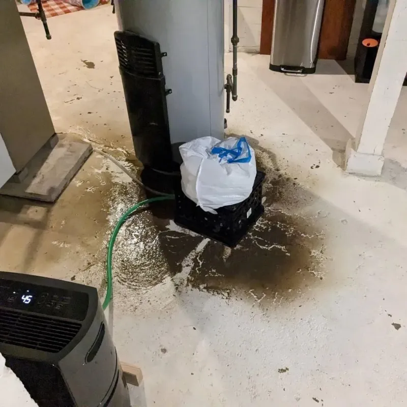 Sewage Backup Cleanup Service in Golden Triangle, NJ